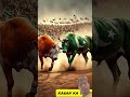 india 🇮🇳🇮🇳 vs pakistan 🇵🇰😱😱#viralvideo #viralshort #shortvideo #india vs #pakistan