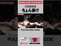 #Sumo Technique: CHONGAKE