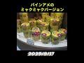 2025/8/17 関西万博訪問＠大阪・夢洲