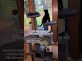 I love TTS 🐈‍⬛🩵 #cattree #catmom #kittensoftiktok