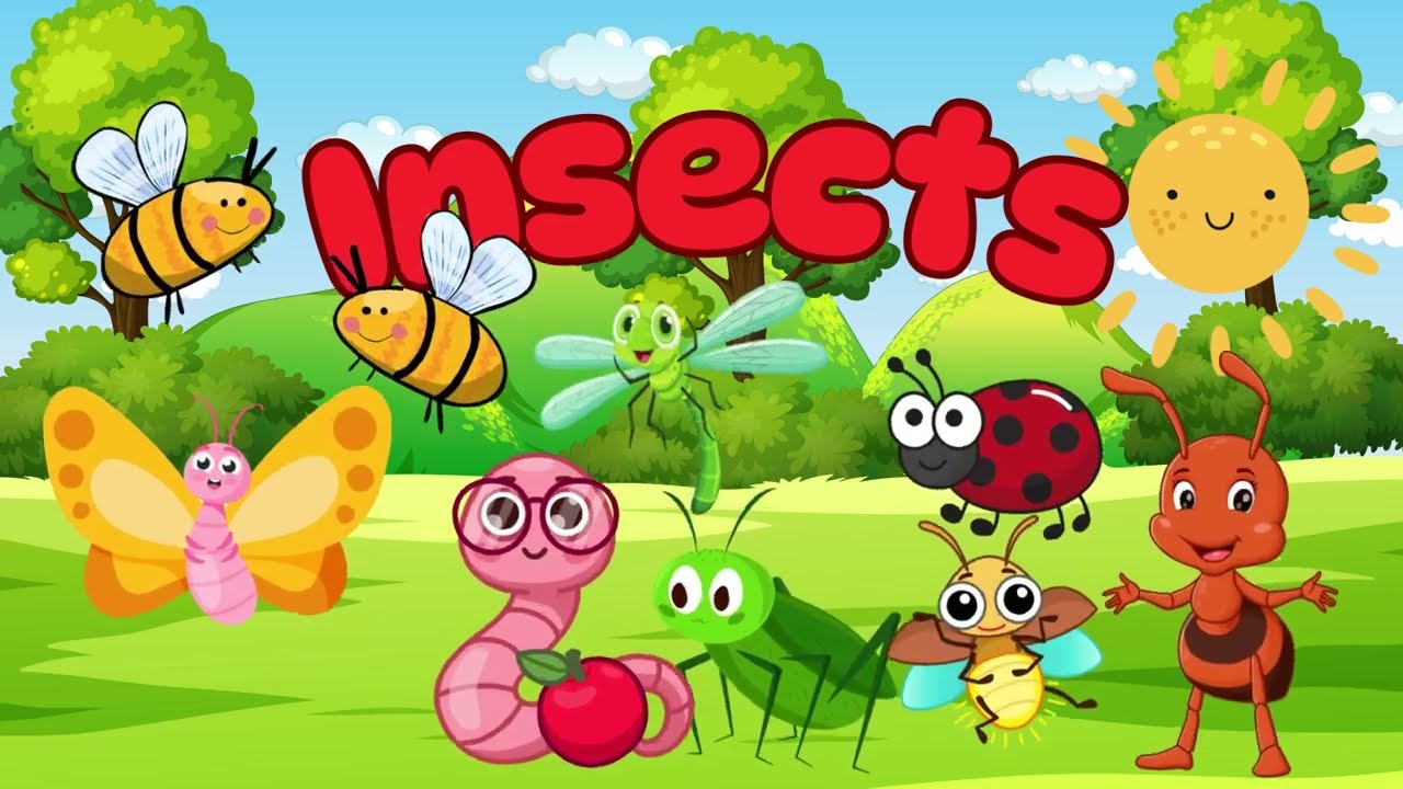 "Bug Song for Kids 🐞🐜 | Learn About Insects with Fun Music!"