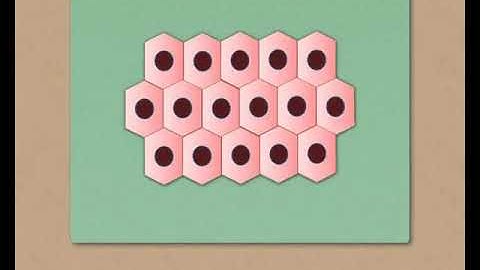 Sundaram Eclass Science concepts: Plant Tissues (Life : Simple and Complex)