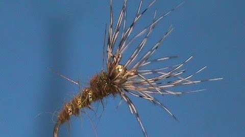 Beginner Fly Tying a Beadhead Tenkara Wet with Jim Misiura