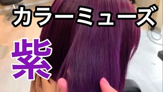 資生堂カラーミューズバイオレットのやり方！茶髪のボブにオン