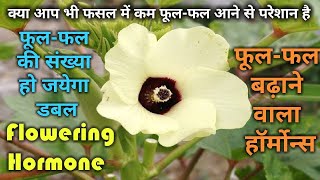 फूल-फल बढ़ाने वाला हॉर्मोंस।florigen hormone (flowering hormone) for all crop.