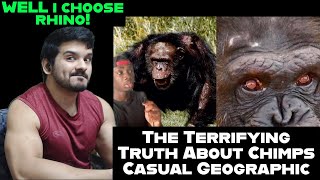 The Terrifying Truth About Chimps by casual geographic