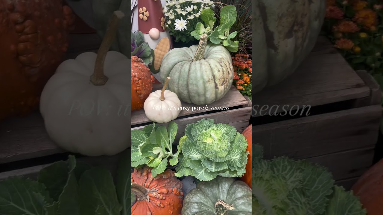 🍁 Fall Planter Ideas for a Cozy Porch | Easy Seasonal Decor 🌻 