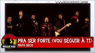 mato seco pra ser forte vou seguir à ti