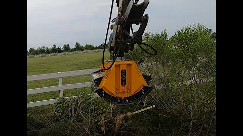 Cat 303.5 with new Mongo Flail Mulcher 1st use.