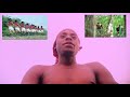 KISIMA MAJABHALA UPOLE NIZAMBI OFFICIAL VIDEO 2026 KISIMA MAJABHALA UPOLE NIZAMBI OFFICIAL VIDEO 2026