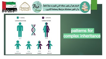 Patterns for Complex Inheritance - Part 2