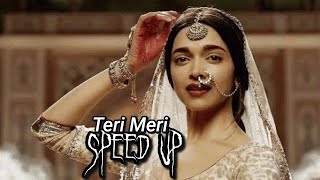 Teri Meri - Speed Up