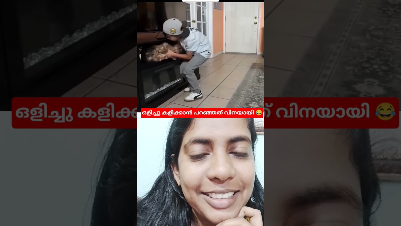 നായകളുടെ ഒളിച്ചു കളി 😂 #shorts #dig #funny #viral