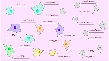 Introduction to Deep Mutational Scanning (Animation)