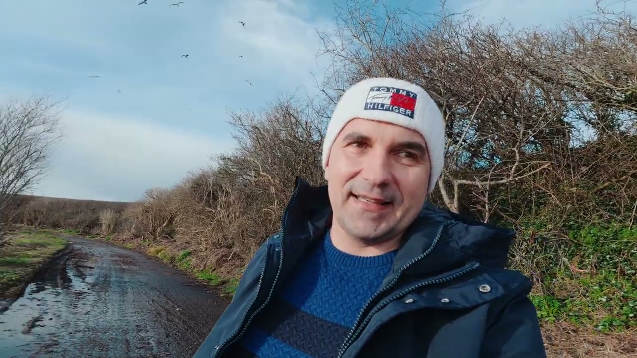 Ireland , swan lake, nature walk 