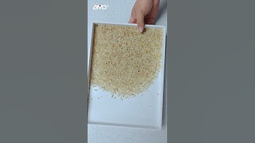 AMD® RH80 Rice Sorter | Yellow, Black & Paddy Sorting Demo  #amdcolorsorter #ricesorter