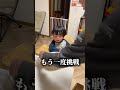 大好きなじいじに甘えて八つ当たりする1歳孫