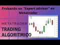 Probando un algoritmo para trading automtizado en MetaTrader