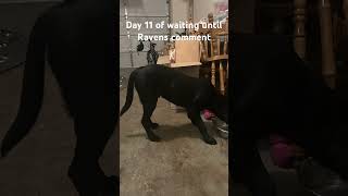 March 4, 2026 @BaltimoreRavens