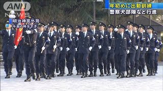 警察犬部隊など行進　警視庁の年頭部隊出動訓練　(20/01/10)