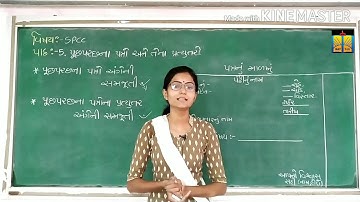 Std-11 sub-spcc (વિભાગ-1c.c.) પાઠ-5 પૂછપરછના પત્રો અને તેના પ્રત્યુતરો (part-1)
