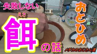 【メダカを飼おう2】餌（おとひめ）について詳しく調べてみました。