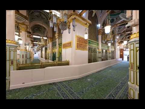 محمد بن هاشم بن غالب بن مضر مصعب الحضرى ومحمد كمال حضرة