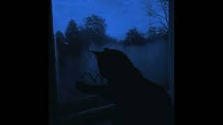 Nope Your Too Late I Already Died (Extended & Slowed) Resimi