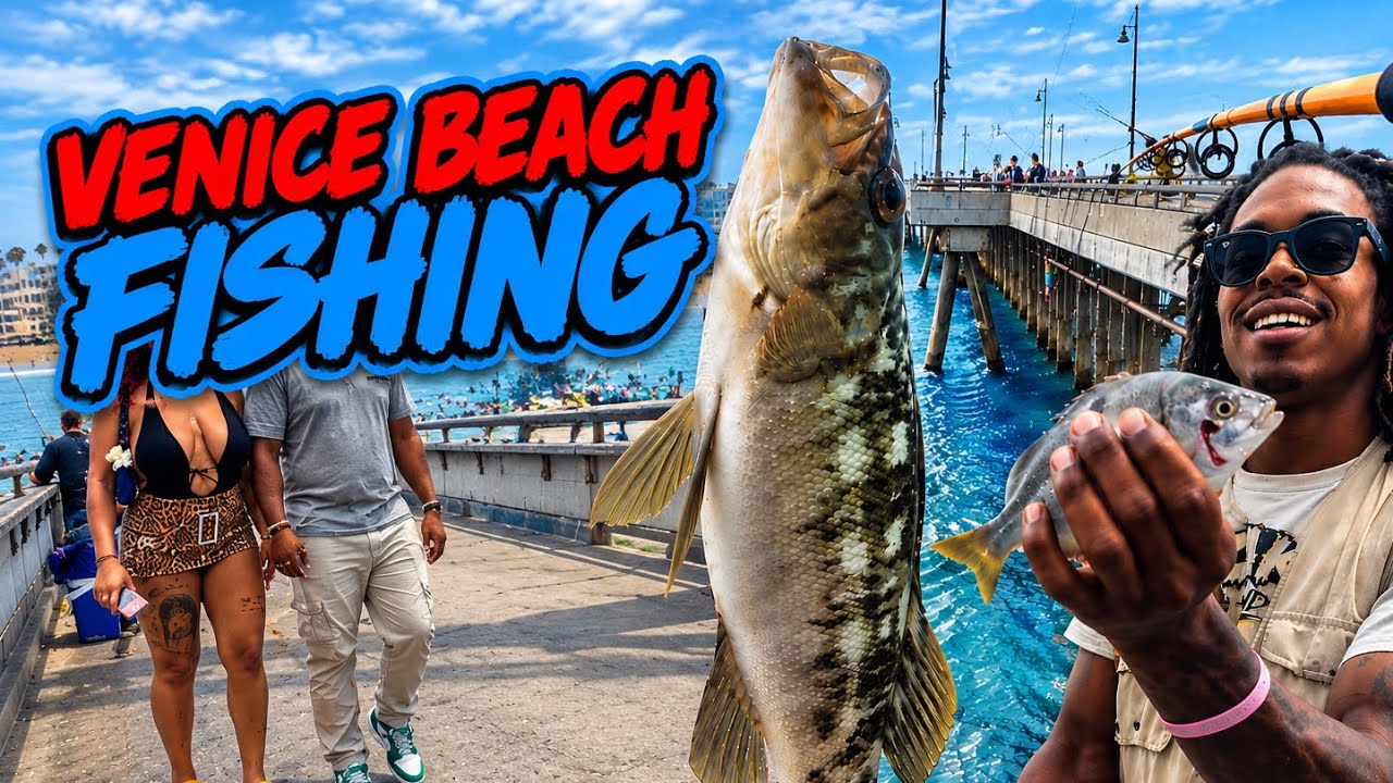 First time Venice Beach Pier fishing Catching calico bass and other species of fish