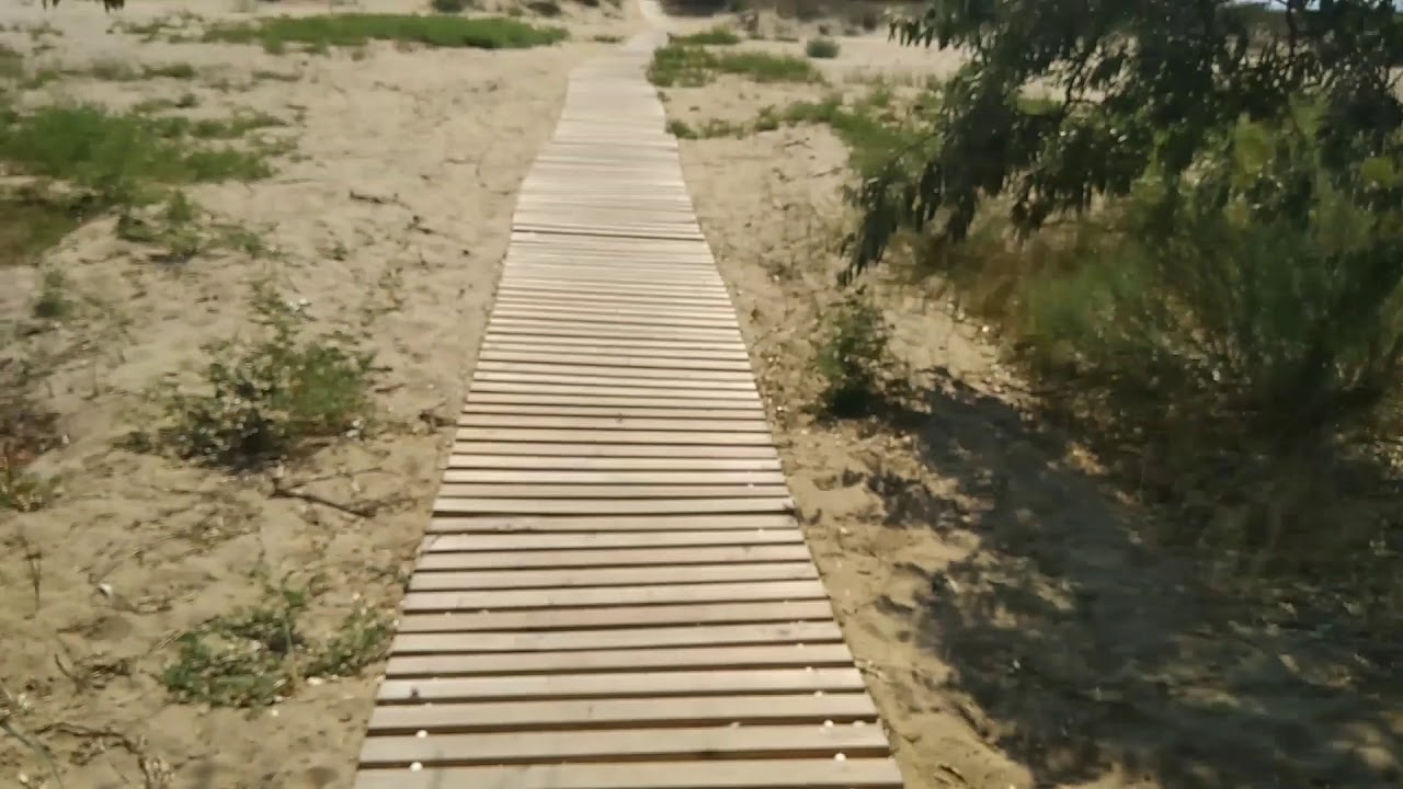 Анапа благовещенская гвоздика база отдыха Анапа благовещенская гвоздика база отдыха