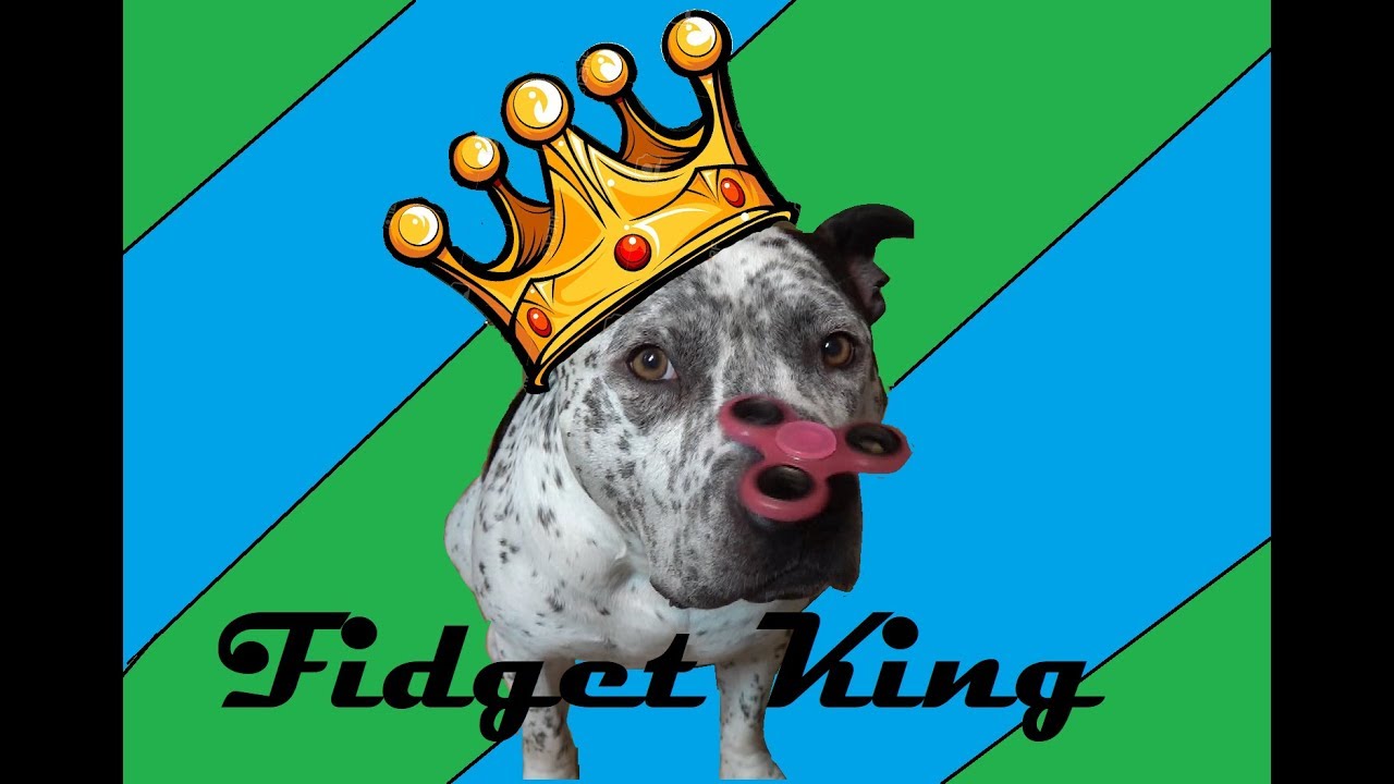 Fidget Spinning Dog YouTube