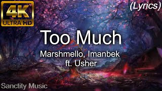 Marshmello x Imanbek - Too Much (Lyrics) ft. Usher 4K