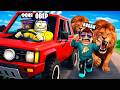 ЗАСТРЯЛИ НА САФАРИ! БЕСКОНЕЧНОЕ ПУТЕШЕСТВИЕ В ROBLOX