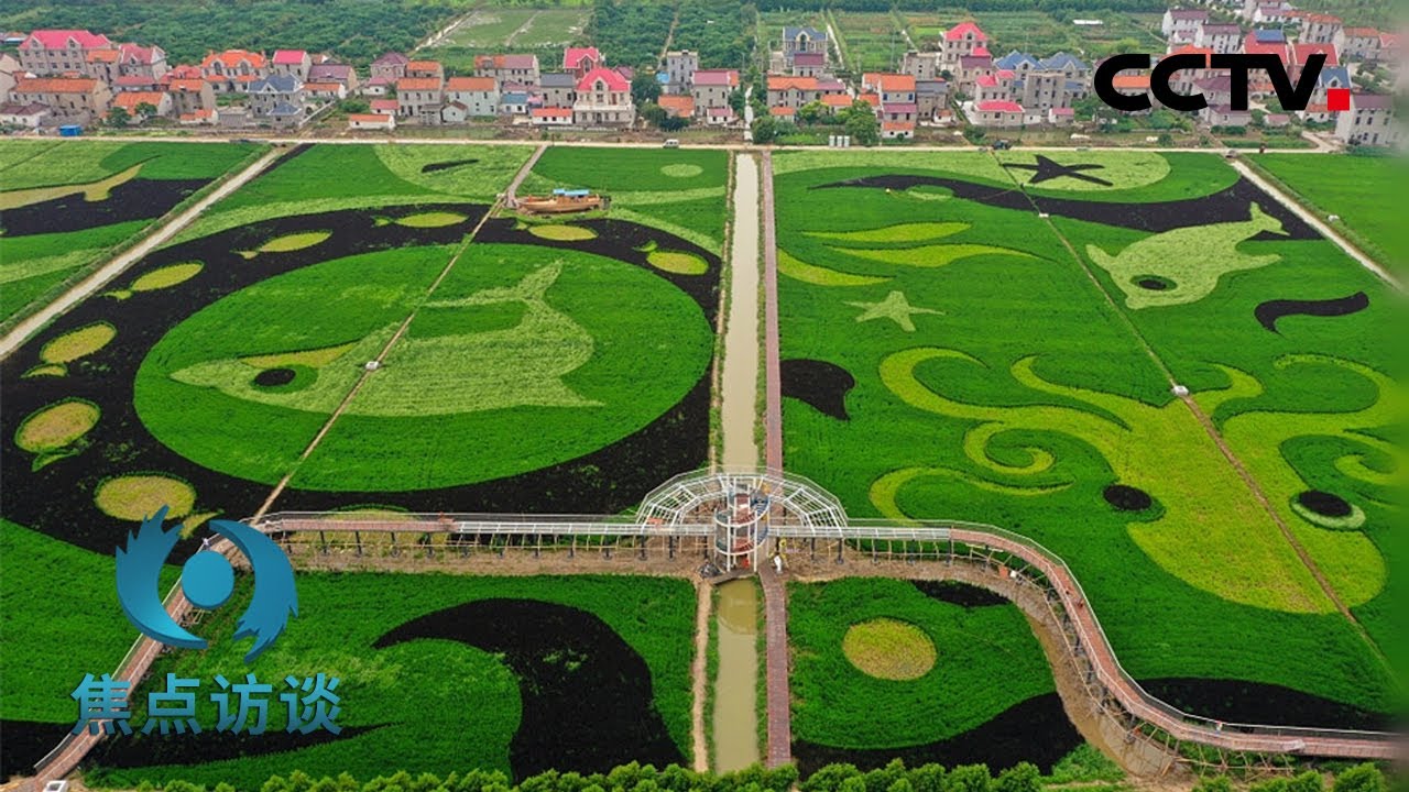 岛上的电话营业厅、7500多米的“飞线”，这些公共服务温暖他们 | CCTV「焦点访谈」20210522