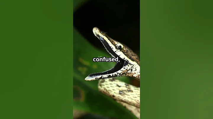 Why Do Snakes Eat Themselves? Unraveling the Mystery!