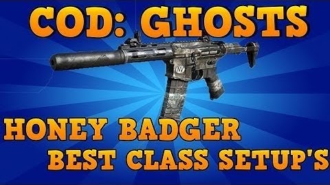 COD Ghosts: "HONEY BADGER" - BEST CLASS SETUP! (Stealth) - Call Of Duty: Ghost Gameplay
