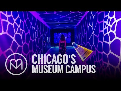 Video: Chicago's Museum Campus Overview