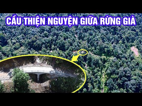 Video Thăm lại cầu kè Háng Xê - Cây cầu thiện nguyện tâm... - youtube