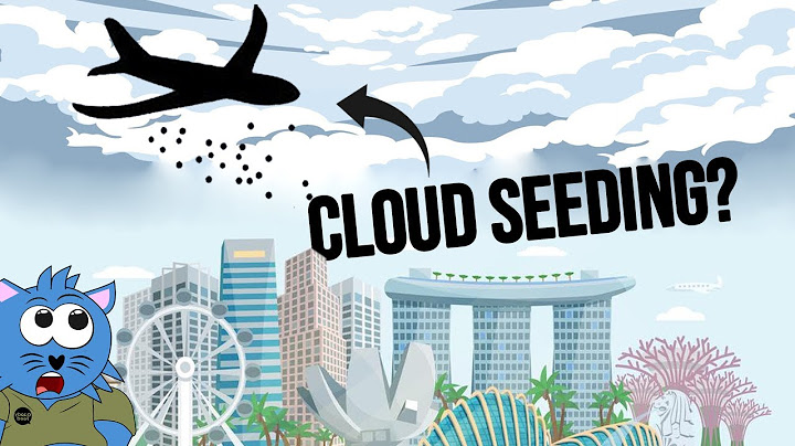 It Never Rains During NDP: How True is That?