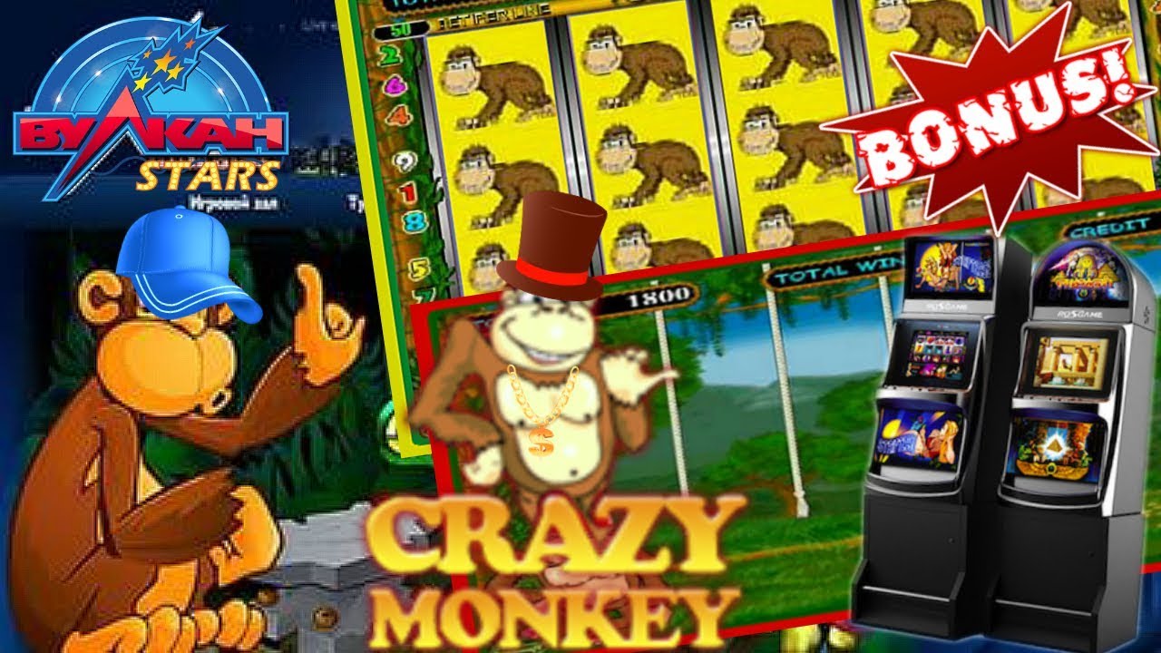 Манки игра отзывы. Игровые автоматы обезьянки. Монки ленд игровой слот. Обезьяны слоты. Crazy Monkey как обыграть.