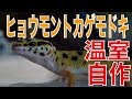 初めてのヒョウモントカゲモドキ飼育#9【温室自作】