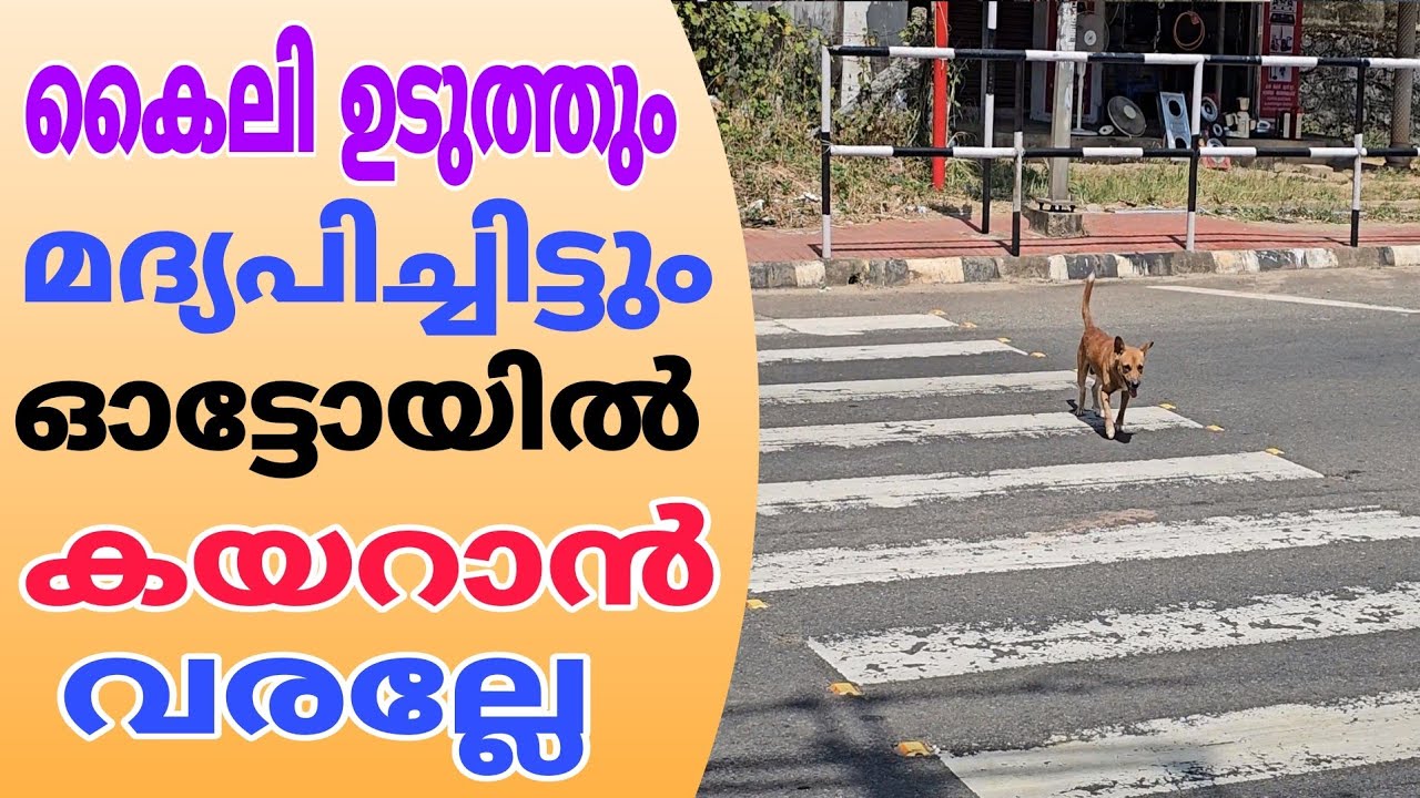 Не приходите на автосалон в наряде от Кайли...