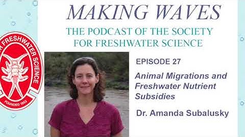 Making Waves - Ep 27: Animal Migrations and Freshwater Nutrient Subsidies