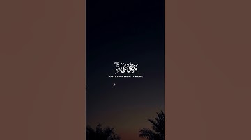 #فتوكل_على_الله_انك_على_الحق_المبين🌿#سورة_النمل #المصحف #قرآن #آيات #اكسبلور