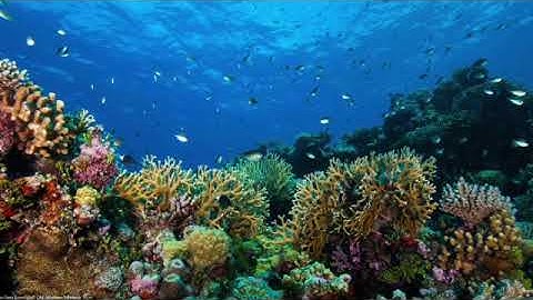 aWarlock - Granular Data