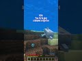 Apparently dolphins don’t like high fives #minecraft
