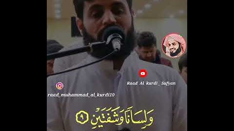 شيخ رعد محمد الكردي {{ سورة البلد }} #short