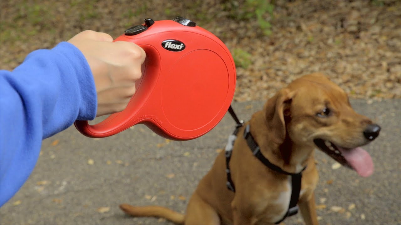 flexi leash no screws