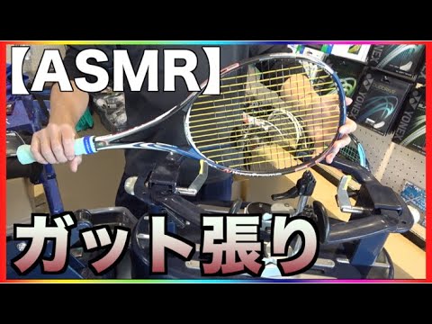 【ASMR】Tennis racket stringラケットのガット張り替え音【ソフトテニス】