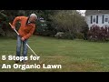 How to get an Organic Lawn in Five Steps